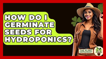 How Do I Germinate Seeds For Hydroponics? - The Plant Enthusiast