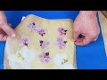 HOW TO PRESS FLOWERS & STORE THEM FOR YOUR RESIN WORK