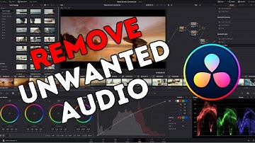 How to Remove Unwanted Audio in DaVinci Resolve 2025?