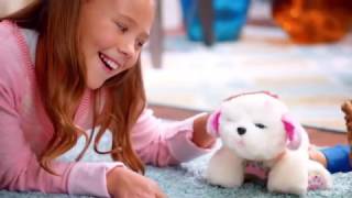 tiara sleepy puppy little live pets