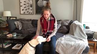 How to Teach Head in Lap