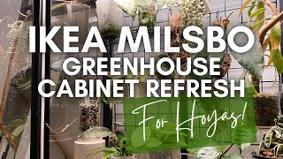 IKEA Milsbo cabinet tour & refresh / converting into a Hoya greenhouse 🌱