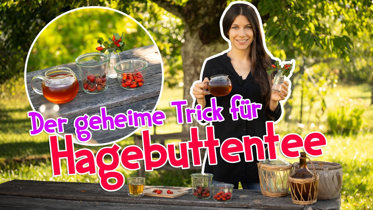 Hagebuttentee perfekt zubereiten 🌟 Der Geheimtrick für unglaublichen Geschmack! 