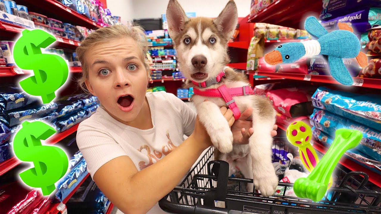 Покупаю своему новому щенку всё, к чему она прикоснётся!