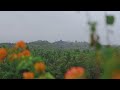 Plataran Borobudur: an authentic Javanese resort - Travellino