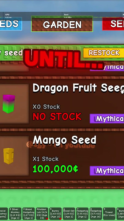 MANGO MANGO ☠️☠️ Discord In Bio #growagarden #roblox #funny