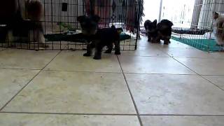 20110227 002.mov