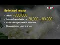 Summary Of Historical Facts On Nanjing Massacre