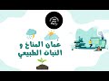 ع مان المناخ و النبات الطبيعي 