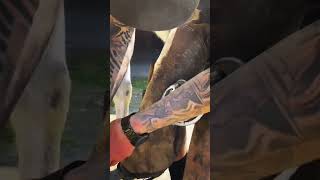 T Up A Nice Barefoot Horse Hoof