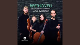 String Quartet No. 2 in G Major, Op. 18 No. 2: IV. Allegro molto, quasi presto