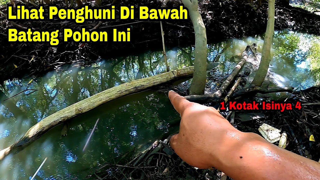 [ Spot Rempong Rempong ] Jadi Sumber REJEKI Untuk Keluarga - YouTube