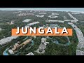 Jungala vidanta riviera maya