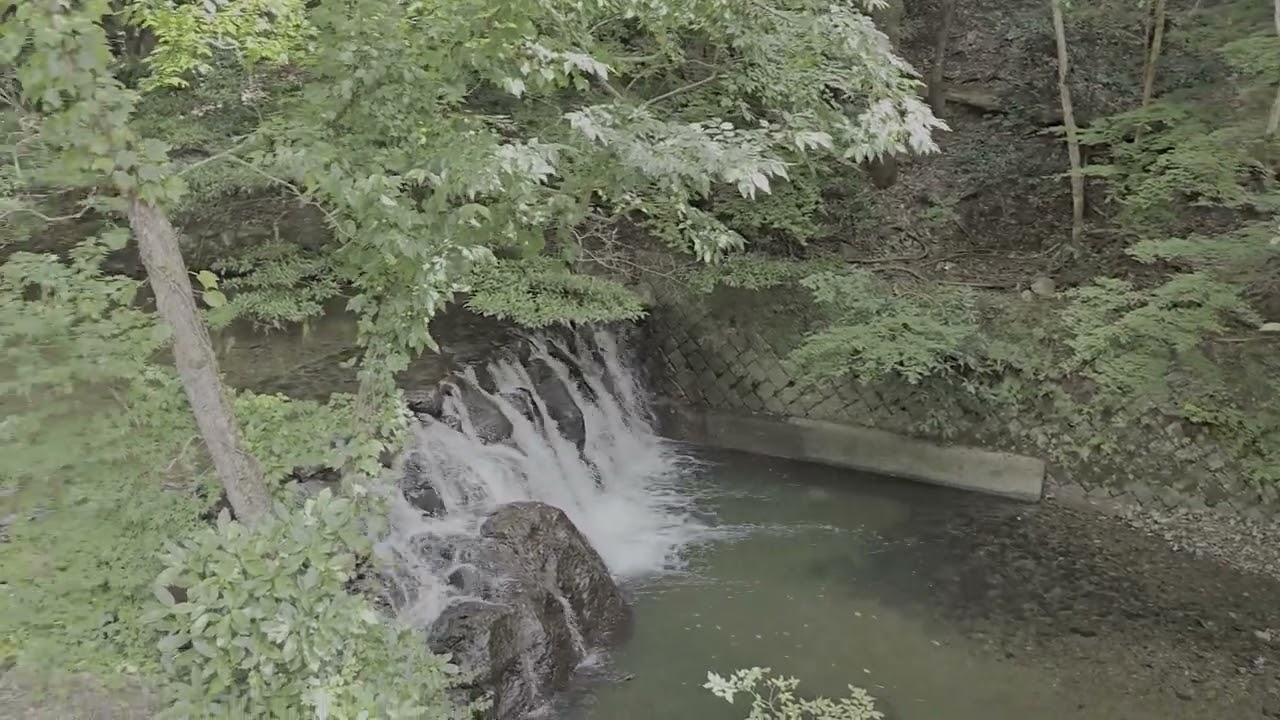 Minoo Waterfall Walk | Osaka Japan 4K HDR 60FPS | Nature Ambience
