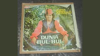 Dunia Bul-Bul