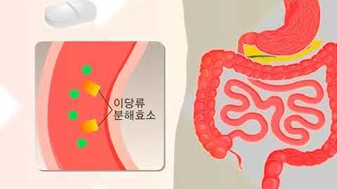 경구용 혈당 강하제의 주요 작용기전