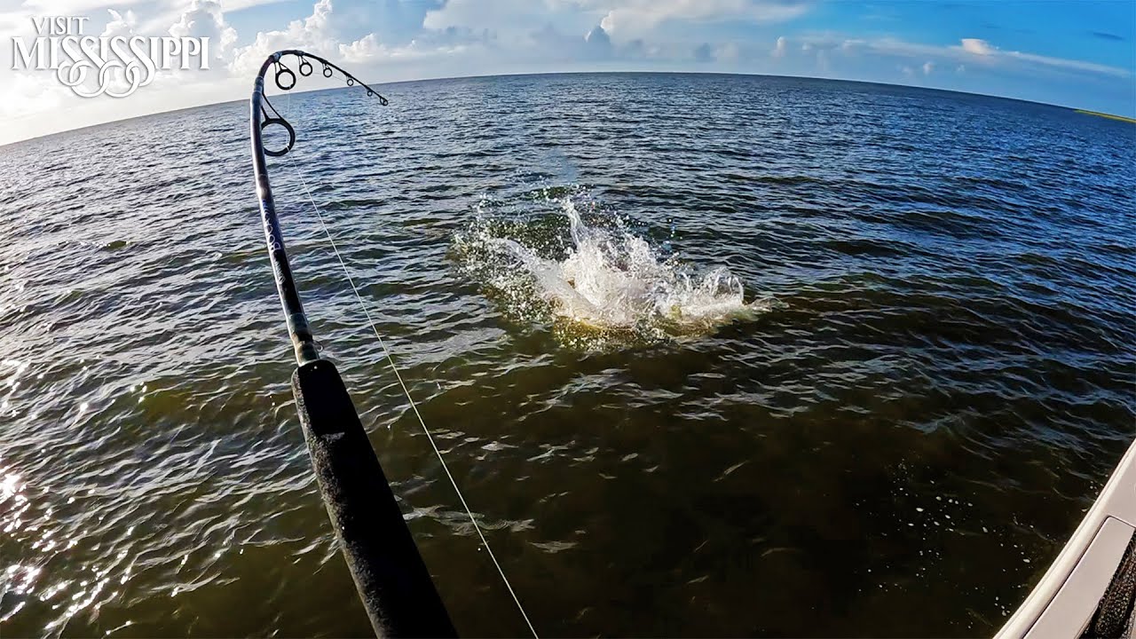 Fishing for Inshore GIANTS on Uninhabited Island (CATCH CLEAN COOK) #FieldTrips Mississippi