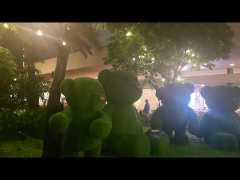 moa philippines 🇵🇭 💖 ♥️ #short #viral #video #pasyalsamoa