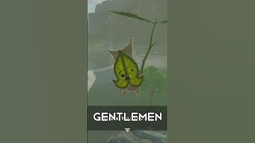 How To Get A Korok Without Arrows #zelda #botw #shorts