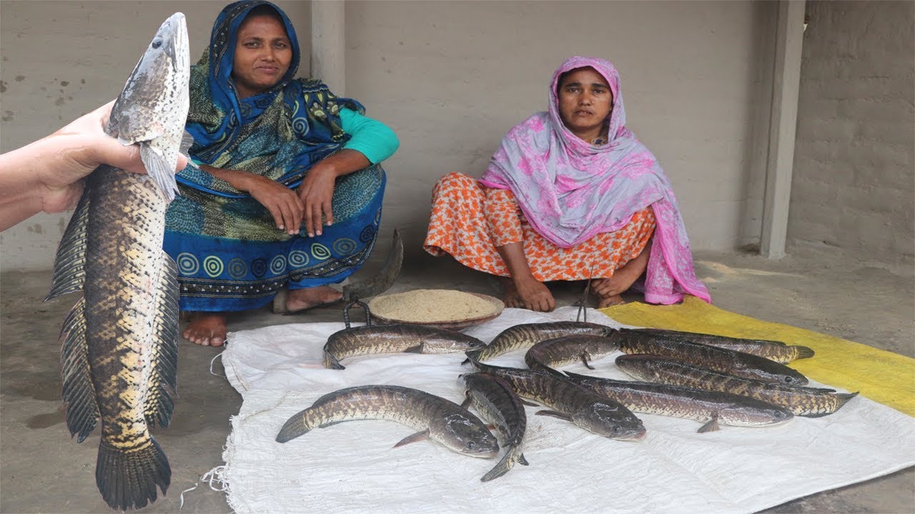 Shol Mach Vuna –Big Snakehead Murrel Fish Curry - Muri Ghonto Recipe - Lunch Routine For Orphan Kids