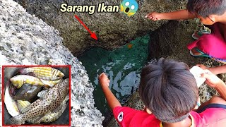 Panen! BOCIL MANCING DILUBANG BATU TERNYATA SARANGNYA IKAN _ Fish Hunting Best Video