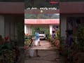 ഹാ പിന്നെ...ഒന്നുമില്ല, ഒന്നുമില്ല!" Mazhapeyyunnu Madhalam Kottunnu Comedy Scene | Malayalam Comedy