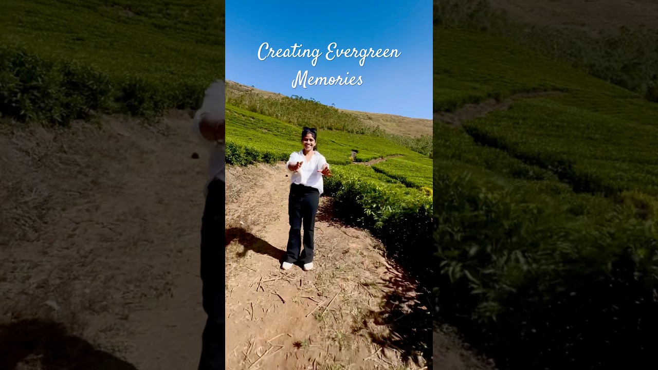 Creating evergreen memories 