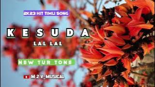 KESUDA KESUDA !! NEW TIMLI SONG (2K23) /M 2 V MUSICAL