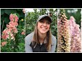 Fall Planting Hardy Annuals // Cool Flowers Deep Dive!!! // Northlawn Flower Farm