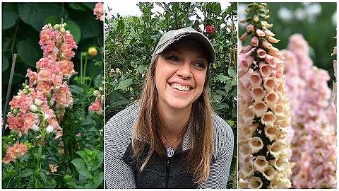 Fall Planting Hardy Annuals // Cool Flowers Deep Dive!!! // Northlawn Flower Farm - DayDayNews