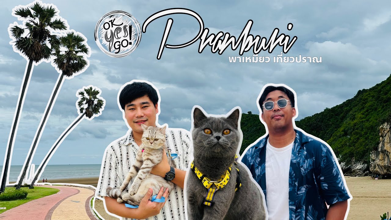 OK YES GO - EP.22 ปราณบุรี พาเหมียวเที่ยปราณ บรรยากาศชิวๆ ใครมาต้องหลงรัก