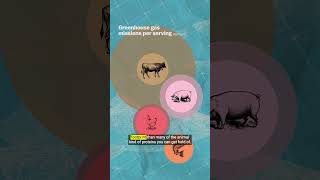 Should salmon farming be our future? #shorts