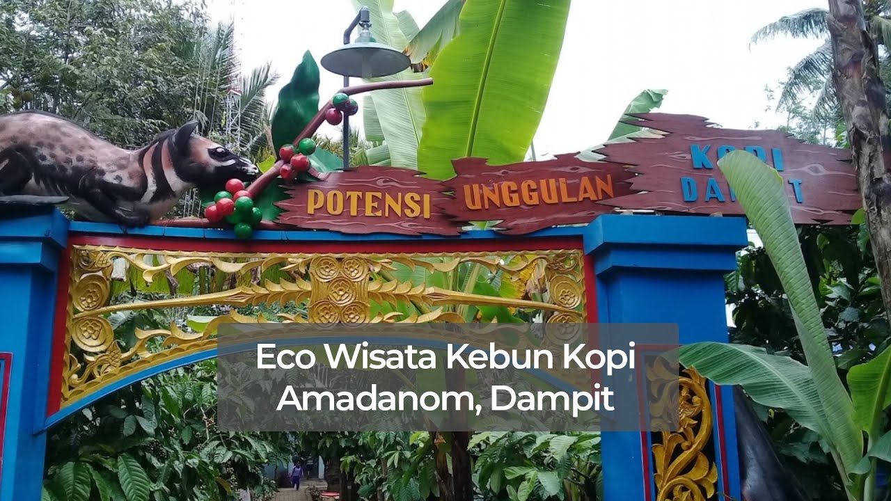 Eco Wisata Kebun Kopi Amadanom, Dampit Kabupaten Malang