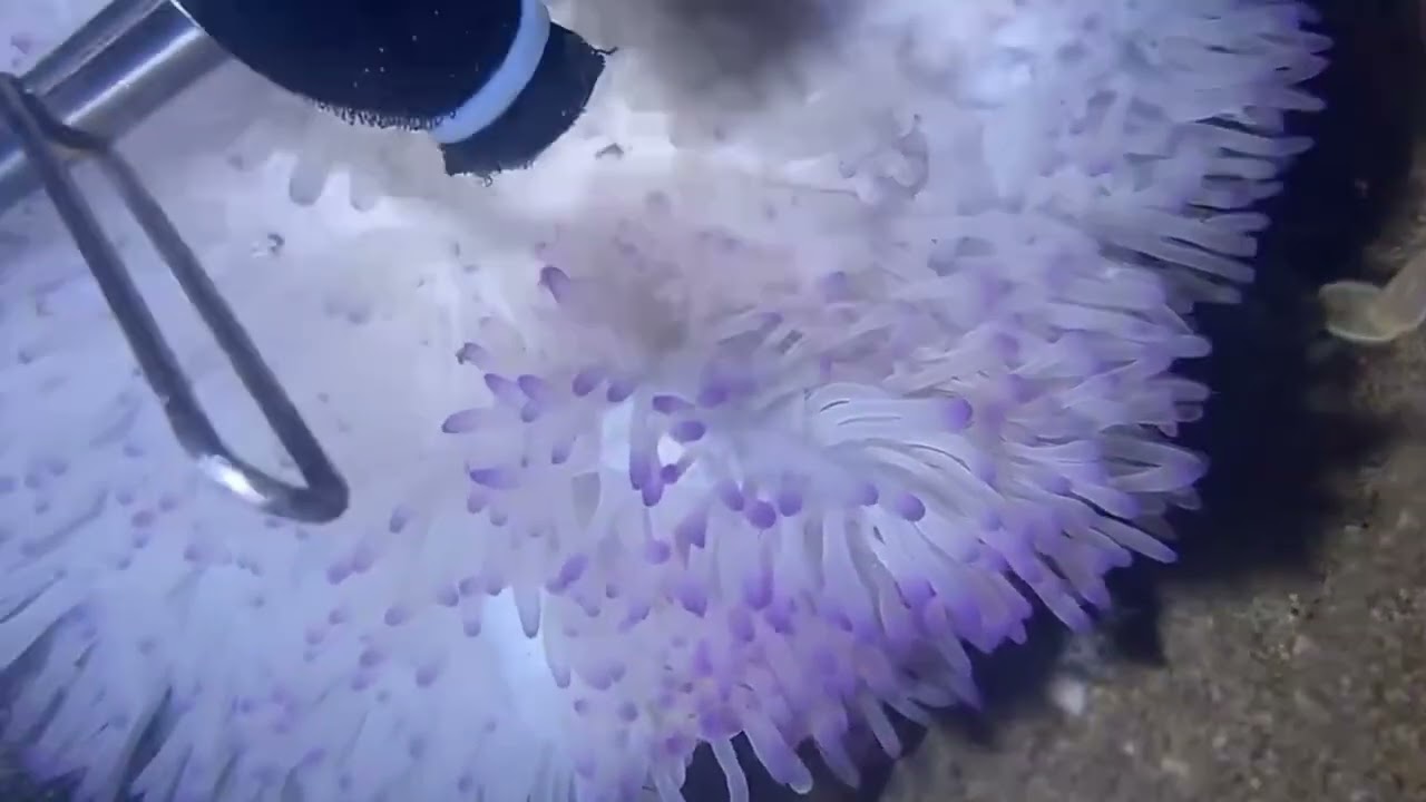 catching seafood from the ocean