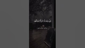 سورة النمل - القارئ عمر محجوب