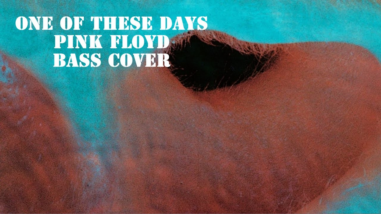 One Of These Days - Pink Floyd - Bass cover with tabs