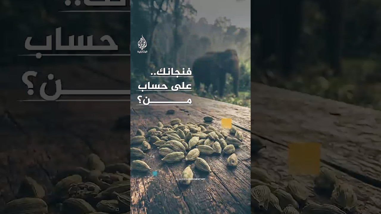 الهيل.. نكهة فاخرة وصراع دامٍ في الظل