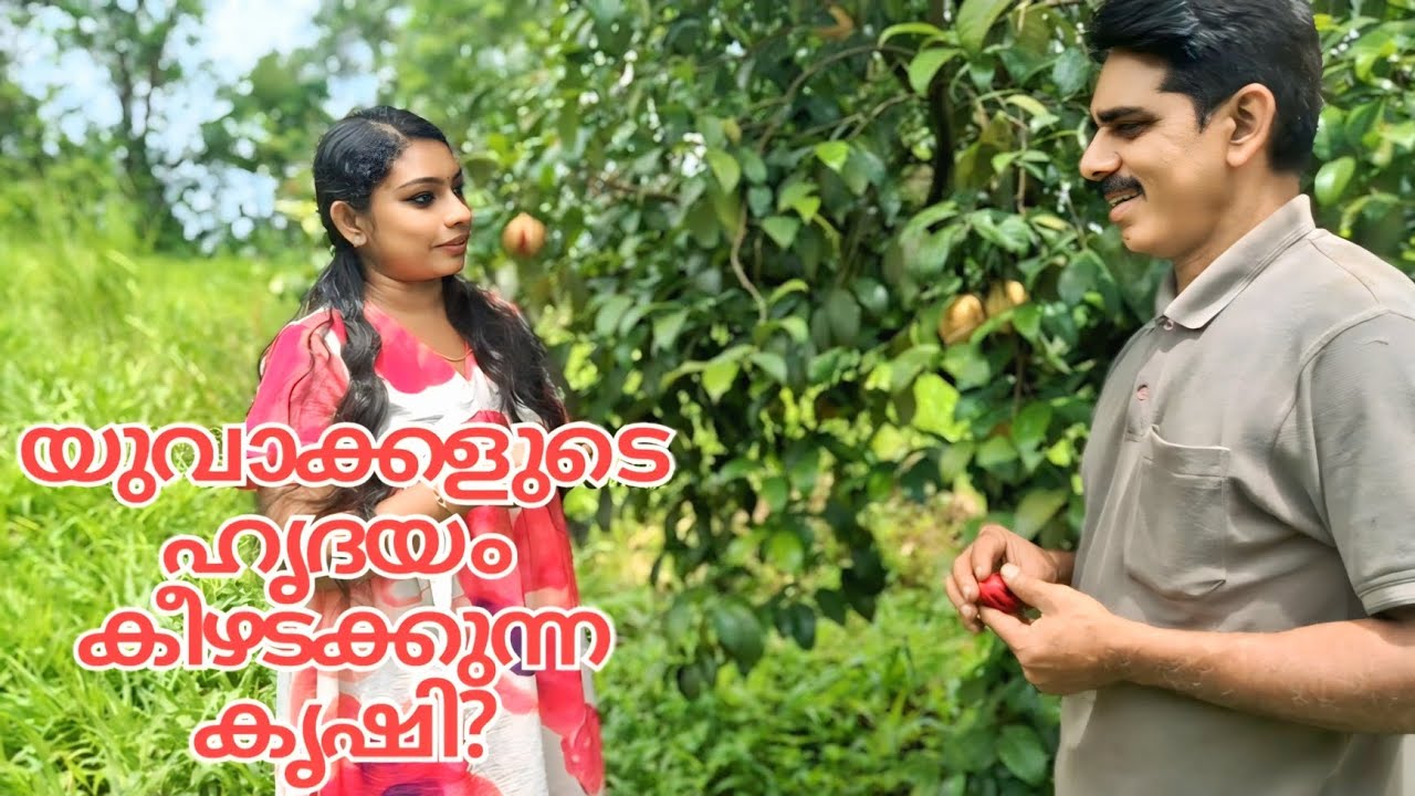 യുവാക്കൾ ഏറ്റെടുക്കുന്ന വിജയകൃഷി – ജാതി ✨ Youth's Favorite Profitable Crop – Nutmeg