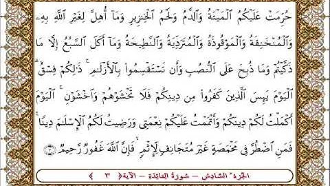 سورة المائدة الأية  3  بصوت الشيخ على جابر