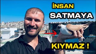 Bu Öyle Bi̇r Kuşki İnsan Satmaya Kiymaz Çok Güzel