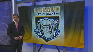 Wright State baseball sweeps weekend series over Purdue Fort Wayne