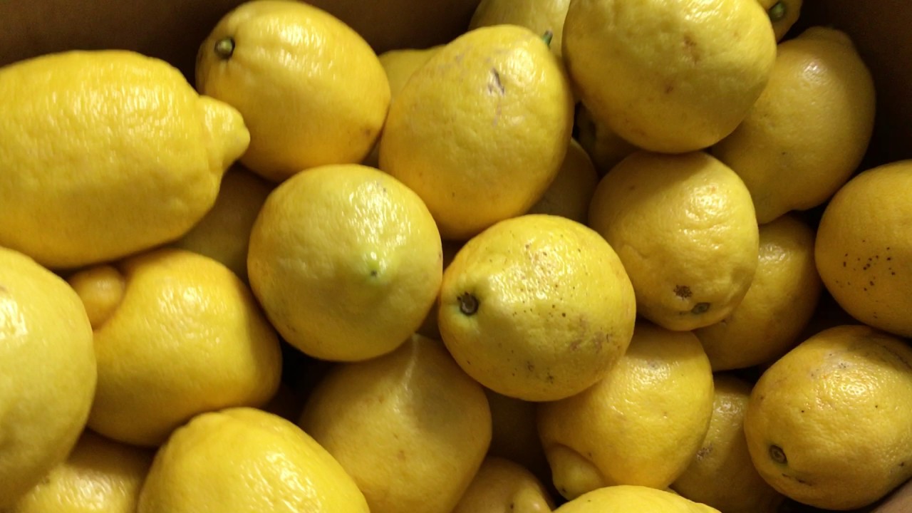 Check your lemons! Video 1 of 3 Why are lemonade is better! YouTube
