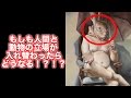 【閲覧注意】もし人間と動物の立場が逆になったら？当たり前のことを考えさせられる画像集
