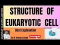Structure of Eukaryotic Cell | For B.Sc 1 Sem / NEET/ M.Sc  2 Sem and other competitive examination