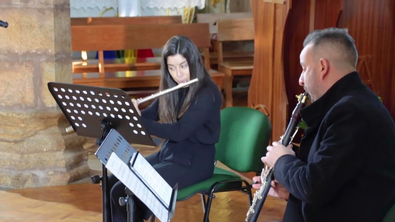 Sheep May Safely Graze by Bach — Flute and Clarinet Duo