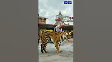 how create Ai video lions #ai #editing #shortsfeed #viral #explore #youtubeshorts