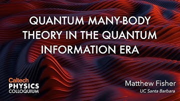 Quantum Many-Body Theory in the Quantum Information Era - Matthew Fisher