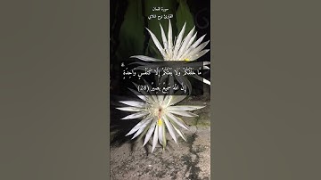 آية ٢٨ "ما خلقكم ولا بعثكم إلا كنفس واحدة" من سورة لقمان | من آيات الله سميع بصير