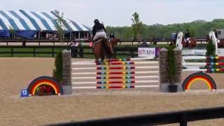 Capito Z ridden by Peter Leone--Grand Prix of Princeton