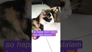 Super Cute Baby Nomot Ini